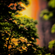 Image for article titled Shooting Challenge Freelensing Gallery 1
